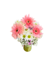 Vazoda Gerbera ve Papatya Aranjmanı